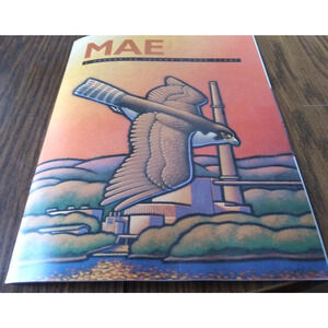 MAE A Peregrine Falcon's True Story By Rebecca Anders (2000 NSP)